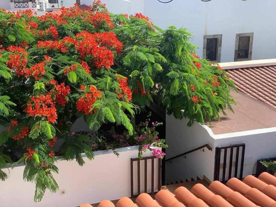Villa Garoe Puerto de las Nieves Eksteriør billede